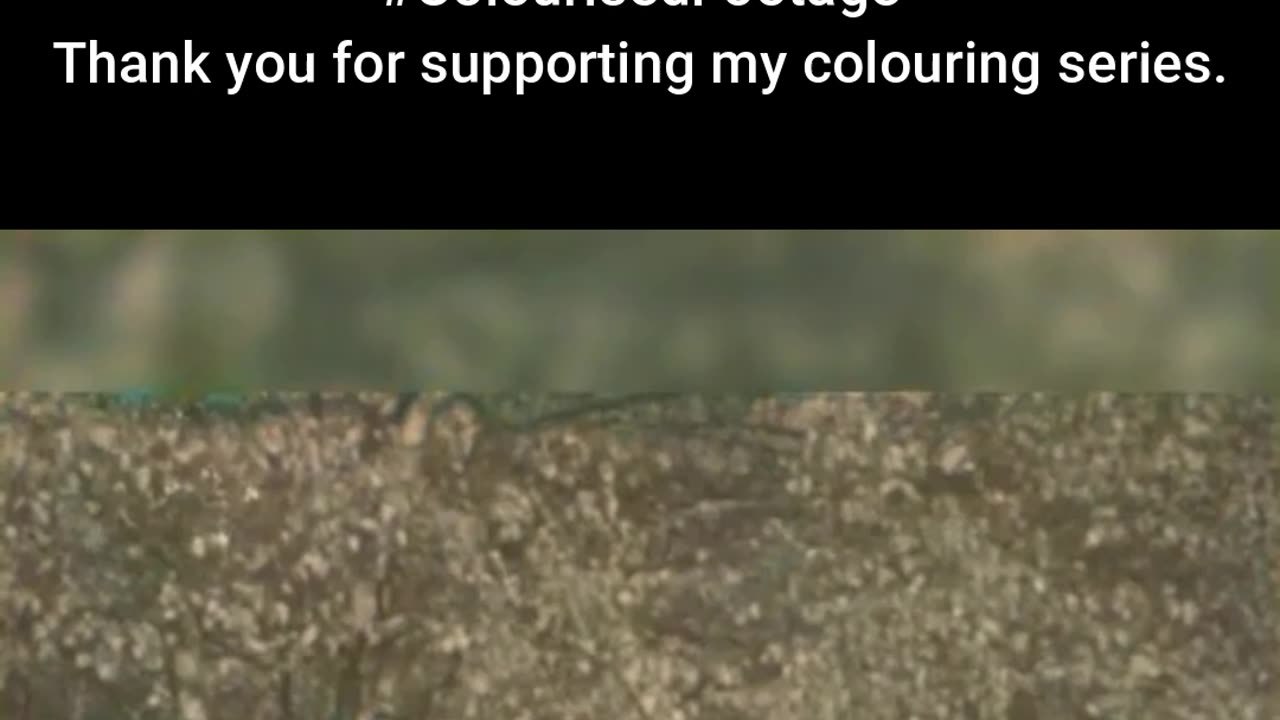British Snipers Test Camouflage in the Field #ColourisedHistory