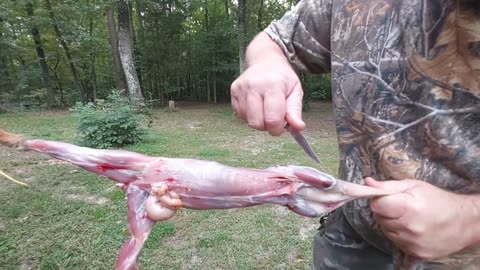 The best way to skin a squirrel?