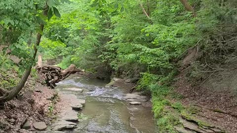 Grimes Glen Part 1