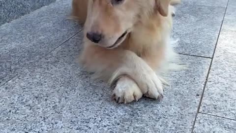Funny