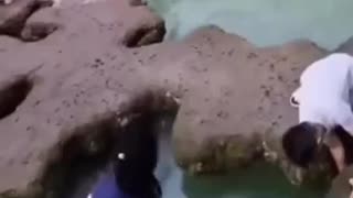 Stupid parents