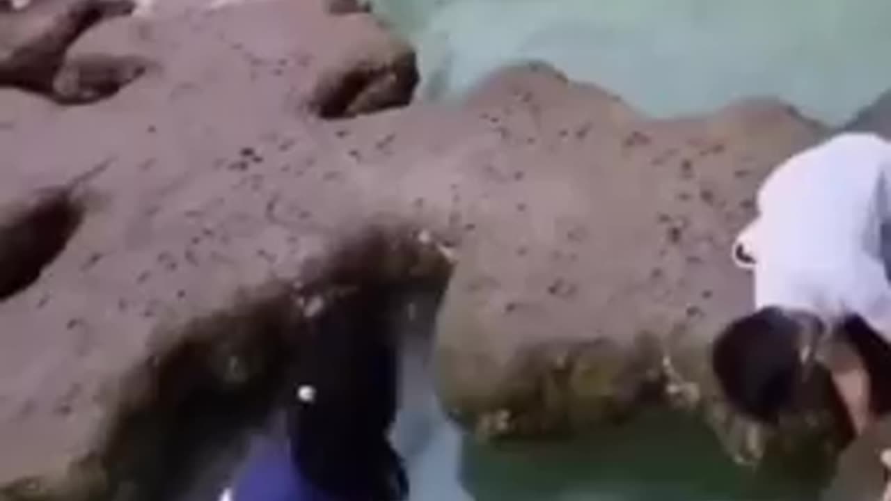 Stupid parents