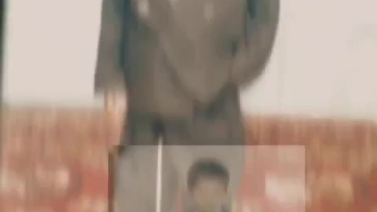 I run after butterflies | MeinTitliyon ke pechhy bagoun 😍