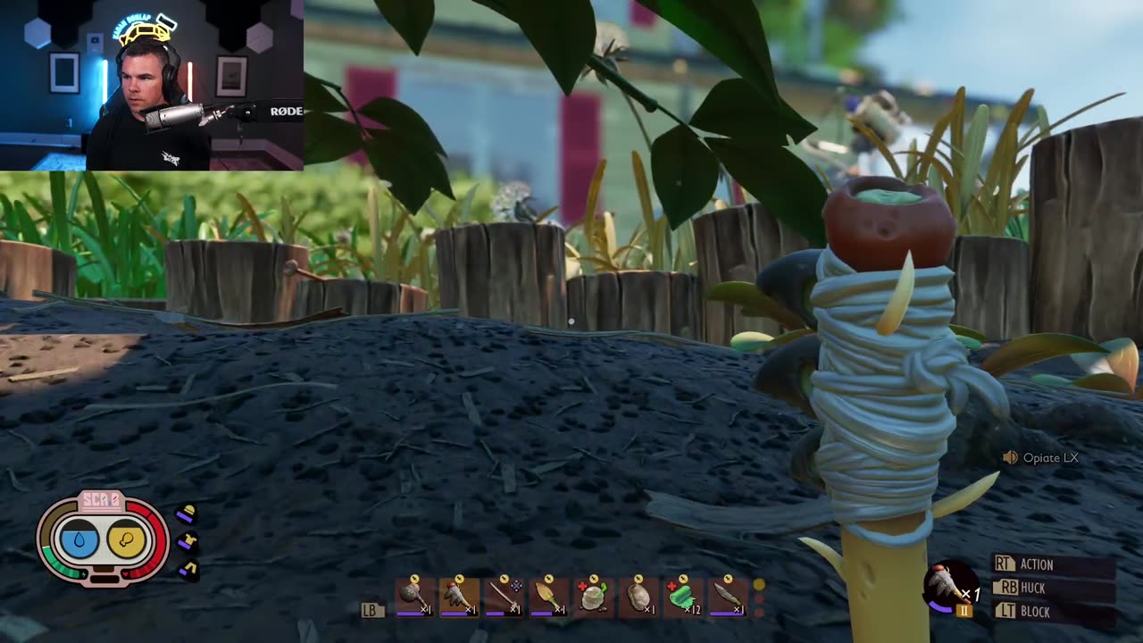 THE BACKYARD IS SO BIG