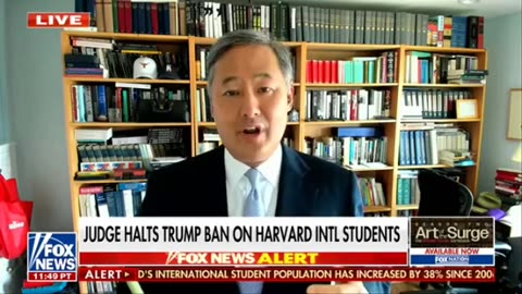 A lawyer warns Harvard of making a "dangerous gamble."