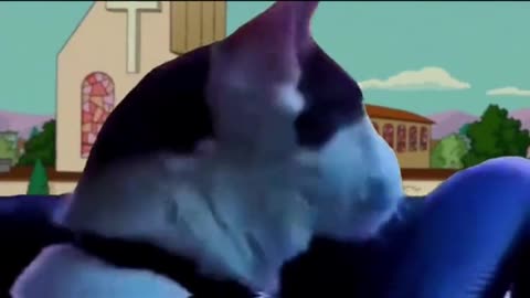 2226 The "Terry is Pretty Drunk," Collection! We have seen this before.