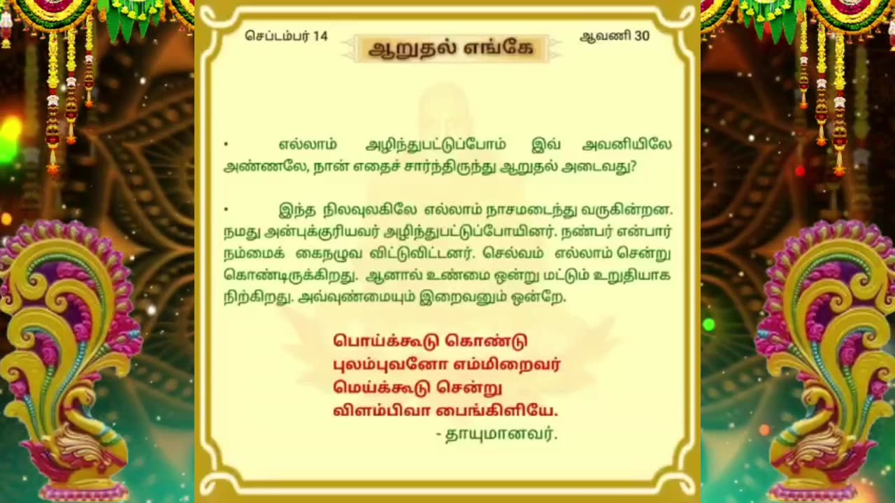 செப்டம்பர் 14 | ஆறுதல் எங்கே | தினசரி தியானம்