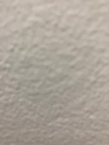 Secrets of McDonald’s “Meat”