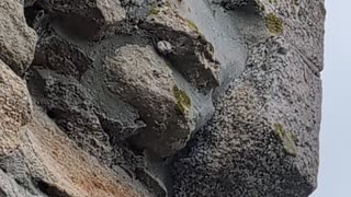 Bramwells Mill in Penzance..