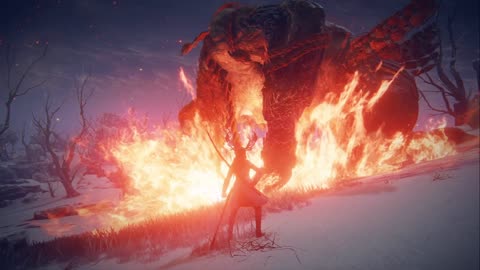 Elden Ring Fire Giant Carain Combo Warriors