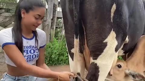 Bom dia #fazenda #vidanaroça #agro #sitio #amor