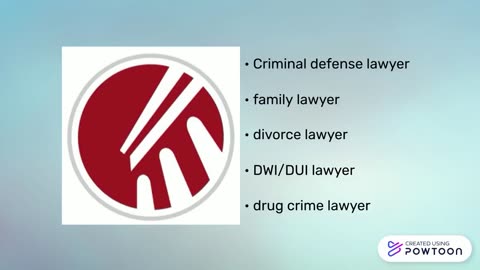 Criminal defense lawyer