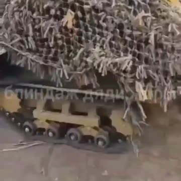 The Earth must be given to everyone, both its own and others