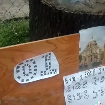 Tim Rifat TikTok Videos