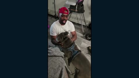 Meet Blue and his family