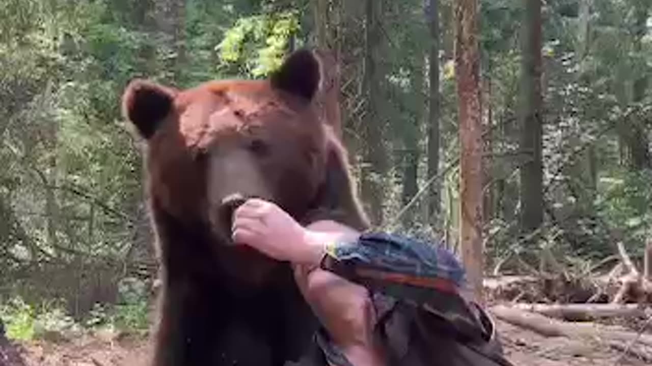 Not too crazy about the fast food offerings 🤣