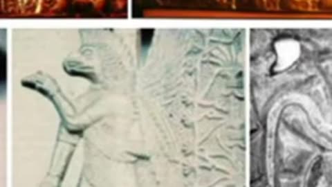 Hitler's Stollen Treasure