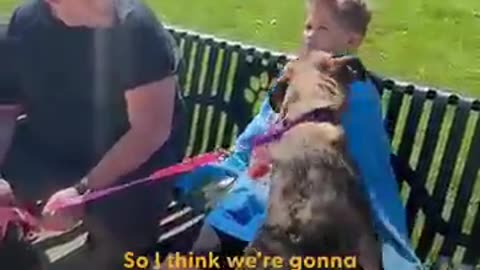 Incredible: Dad Takes His Son To The Shelter Insisting They Can't Get A Dog | Th