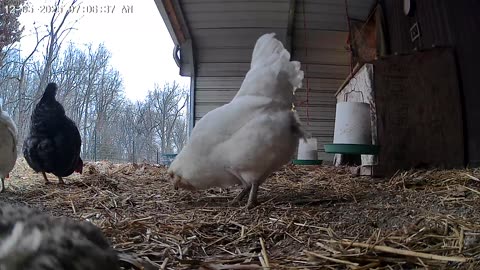 A Hot Breakfast On A Cold Day!