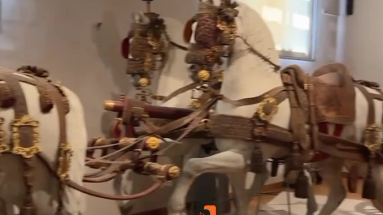 Museum Time