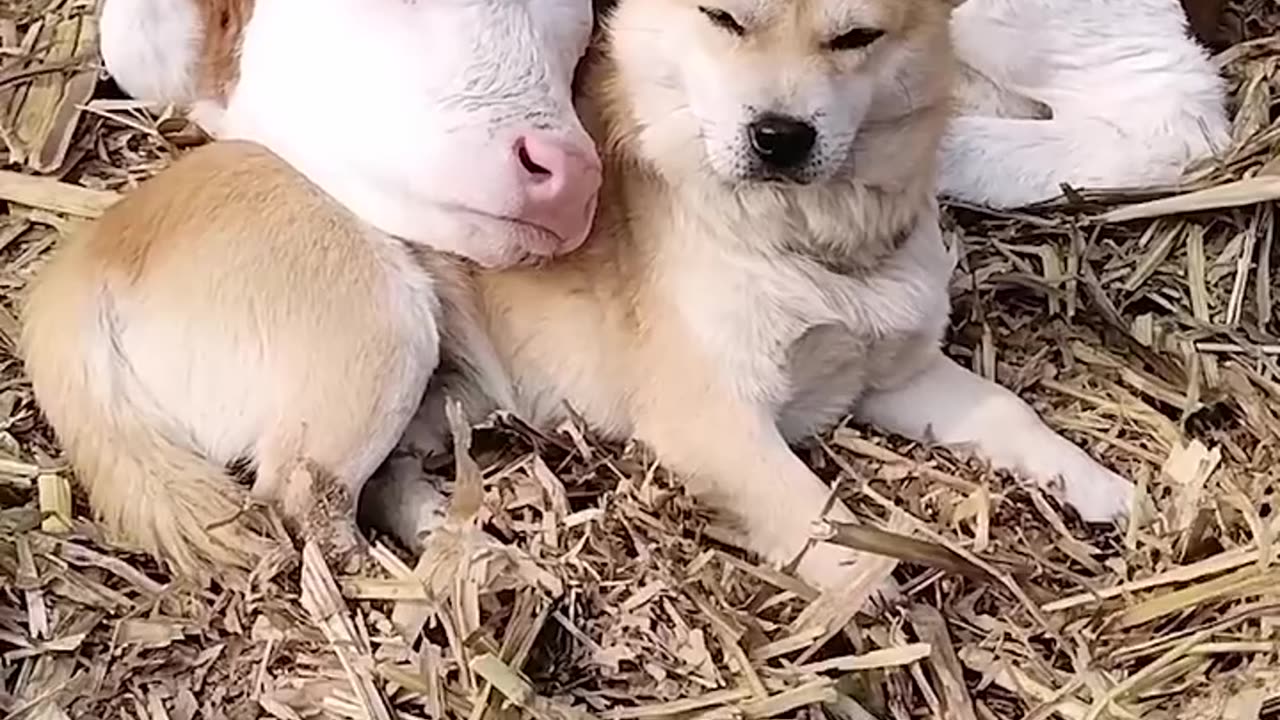 This is what really love look like ❤️💓