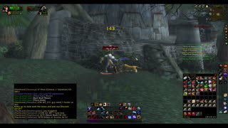 Turtle wow - Melee HC Slow and Steady Hunter - Part 92 - No commentary