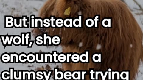 the hilarious twist on little red riding hood you
