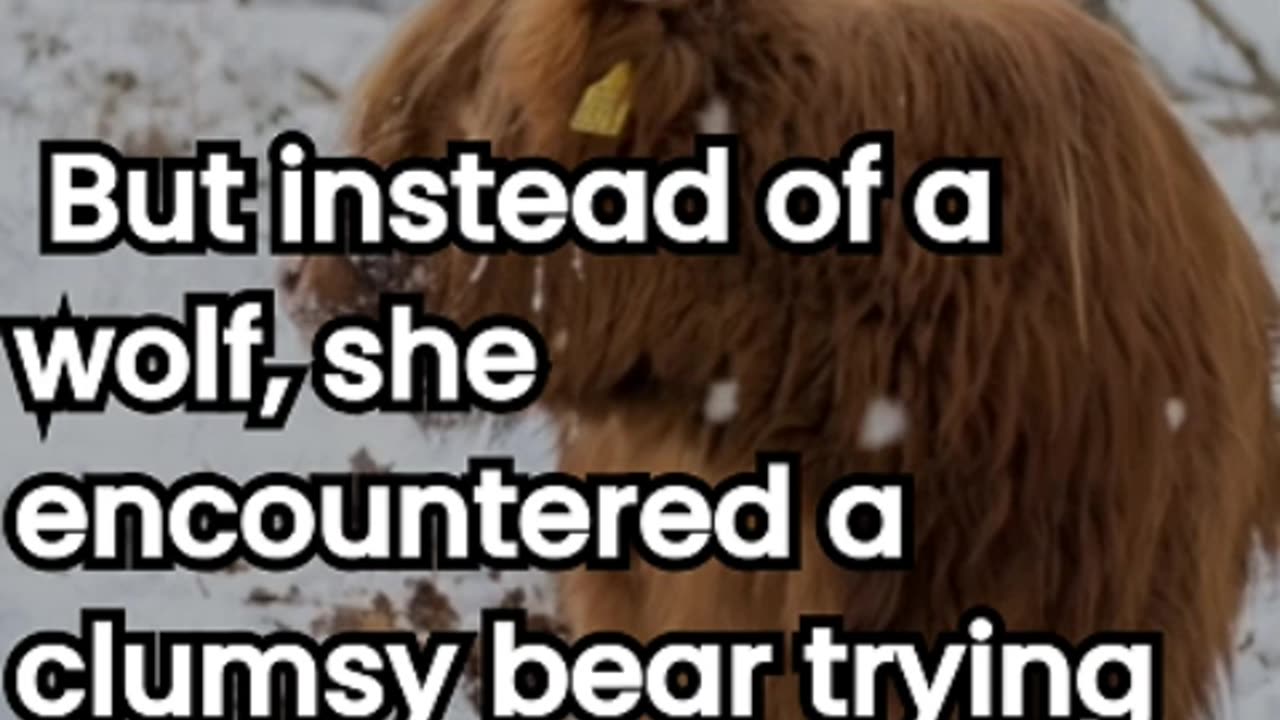 the hilarious twist on little red riding hood you