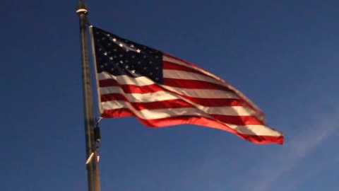 Trump’s Merger – Veteran’s Day
