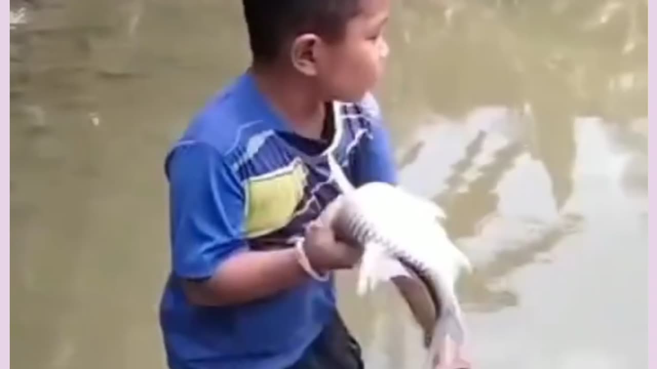 Funny video real comedy scenes