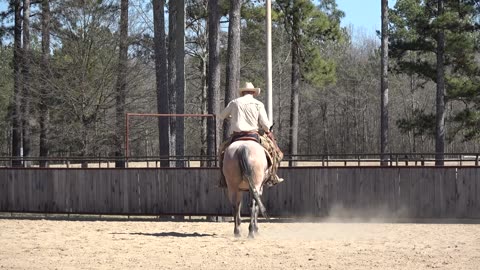 How to Slow Down a Hot Horse Preview