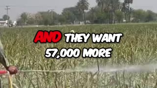 🚨 85 banned pesticides used in US, 57K more proposed! 😱 EPA ignores,