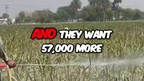 🚨 85 banned pesticides used in US, 57K more proposed! 😱 EPA ignores,