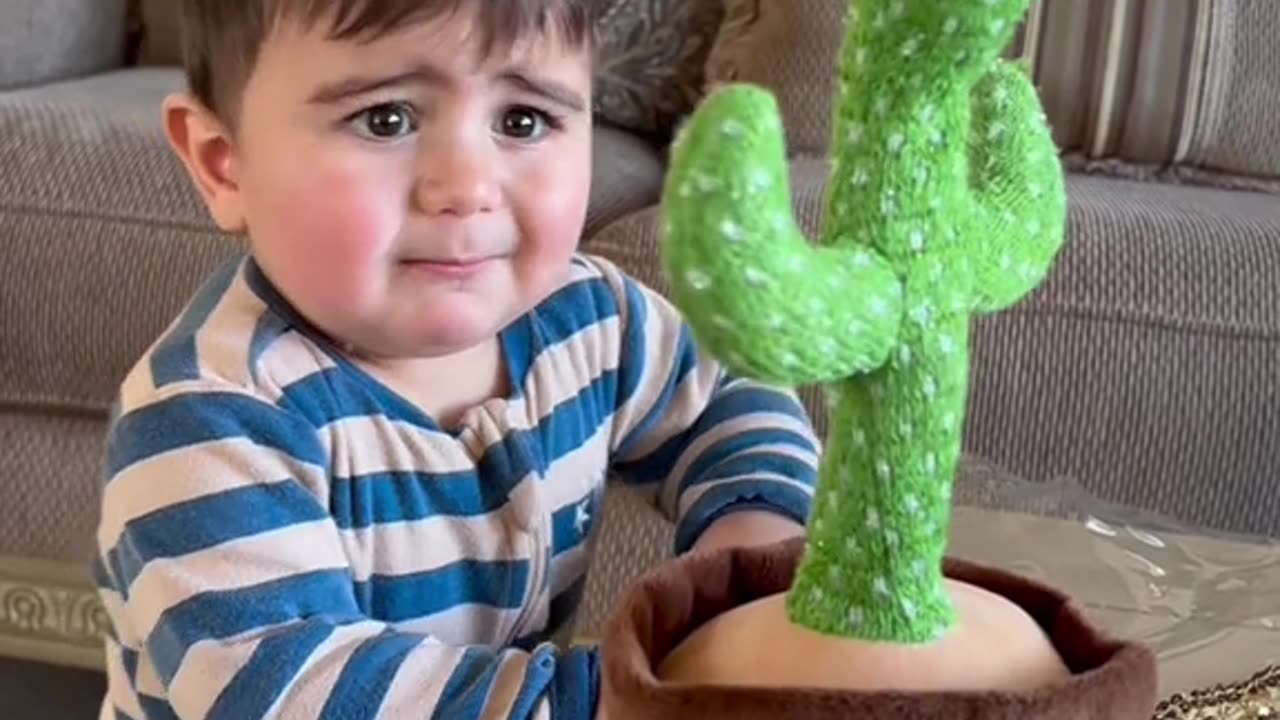 This baby was NOT ready for the talking cactus!