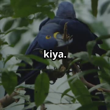 सच्ची दोस्ती की ताकत 💖 | Moral Story for Kids | Hindi Kahani"** #shorts #kids