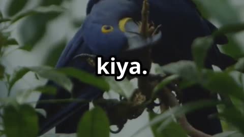 सच्ची दोस्ती की ताकत 💖 | Moral Story for Kids | Hindi Kahani"** #shorts #kids