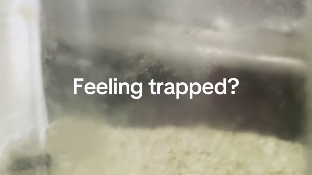 Feeling trapped? Comment below.