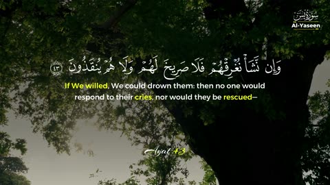 Surah Yaseen | Full Recitation with Soul-Stirring Clarity | Heart of the Quran