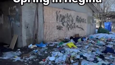Importing The Third World