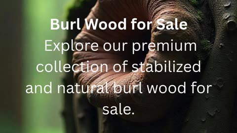Stunning Burl Wood for Custom Projects