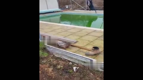 😨🤪 Left Hanging. Rope swinger loses momentum | FunFM