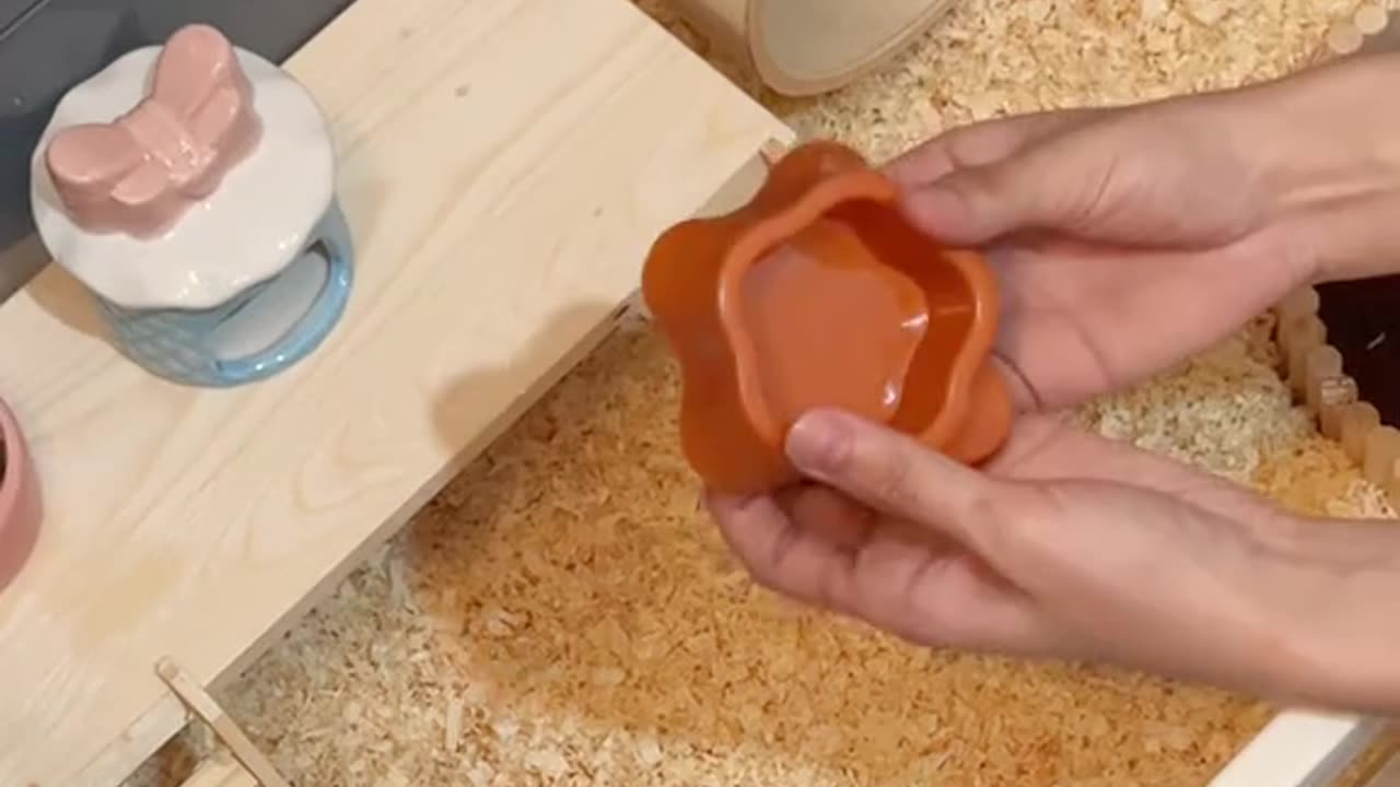 "Top 5 Mistakes Hamster Owners Make (And How to Avoid Them)"