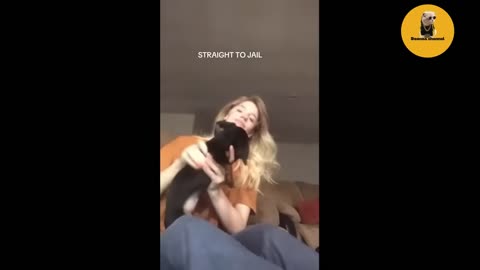 Funniest Animals 😄😃🤣 New Funny Cats and Dogs Videos 😹🐶