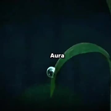 Po domina la paz interior☠️.#edit #aura #po #lordchen #kunfupanda