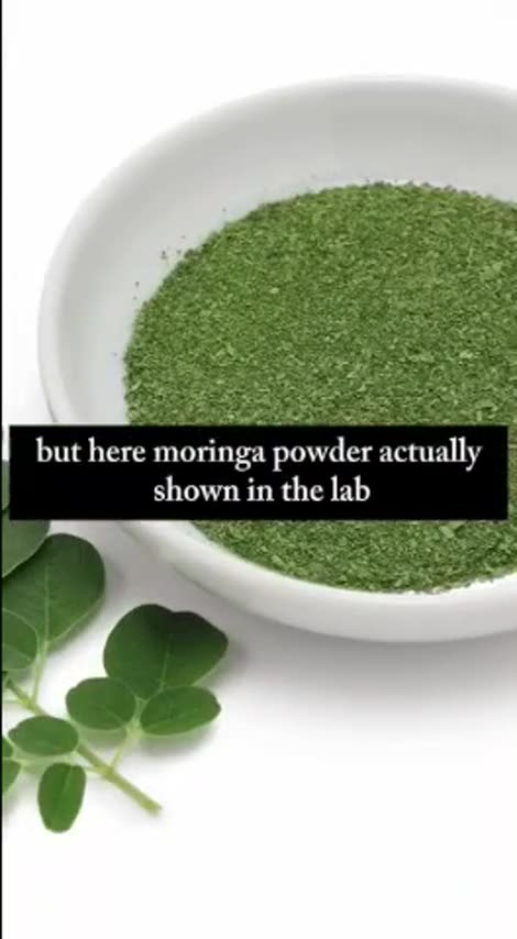 The incredible Benefits of Moringa ~ Dr William Li