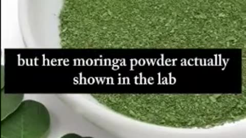 The incredible Benefits of Moringa ~ Dr William Li