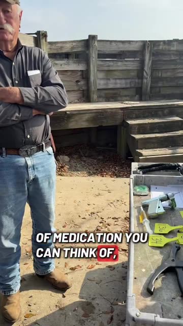 American cattle rancher says his herds were never sick until he started to give them vaccines