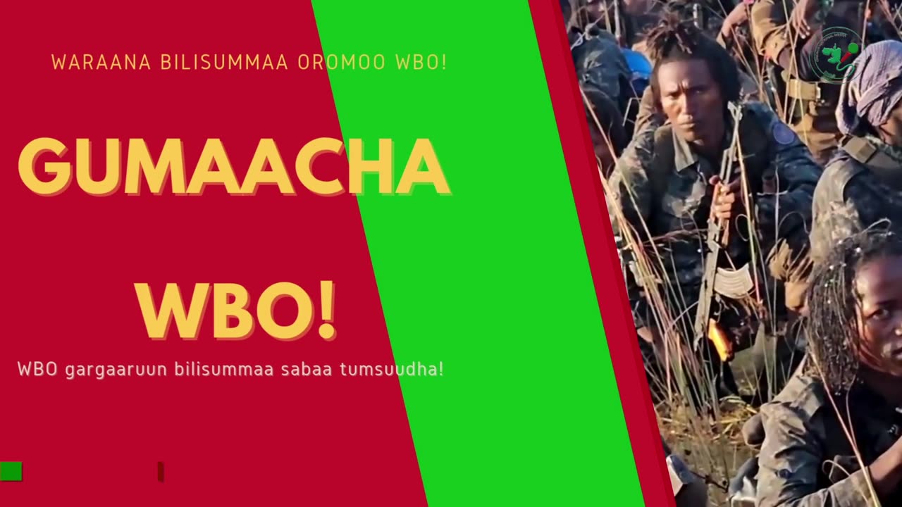 Gabaasa Gumaacha ONM-ABO Caamsaa 25-2025 itti dhiyaadhaa!
