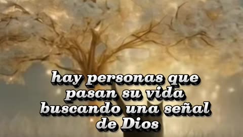 REFLEXIÓN ✨️ ✨️ ✨️ ✨️ ✨️ ✨️ ✨️ ✨️