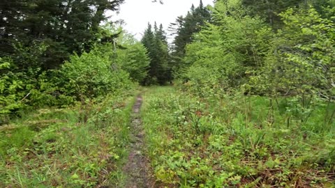 Take a Hike